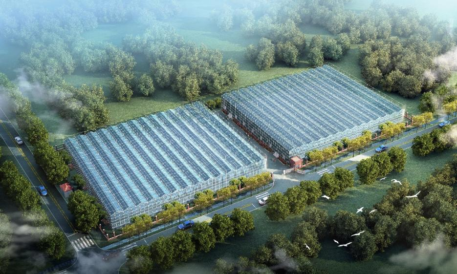 ���g22(����)�������-�����о�ϲ